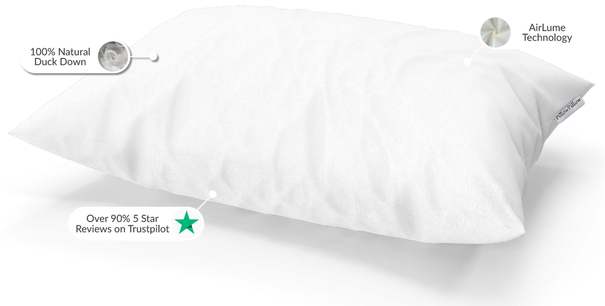Down Surround Pillow – PillowPillow